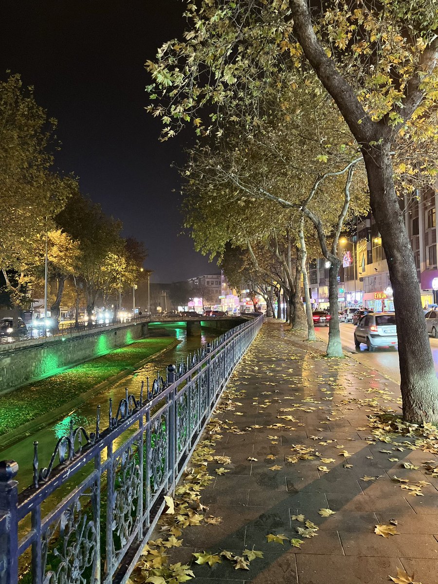 Yürümeyi bilene, yol içeri bükülür. Duymayı bilene, hakikat kükrer.