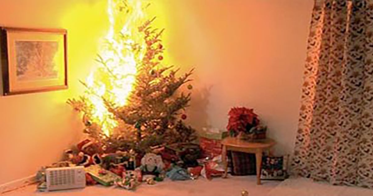 Holiday trees can become fire hazards. Water your tree daily and keep heat sources and open flames well away from the tree.