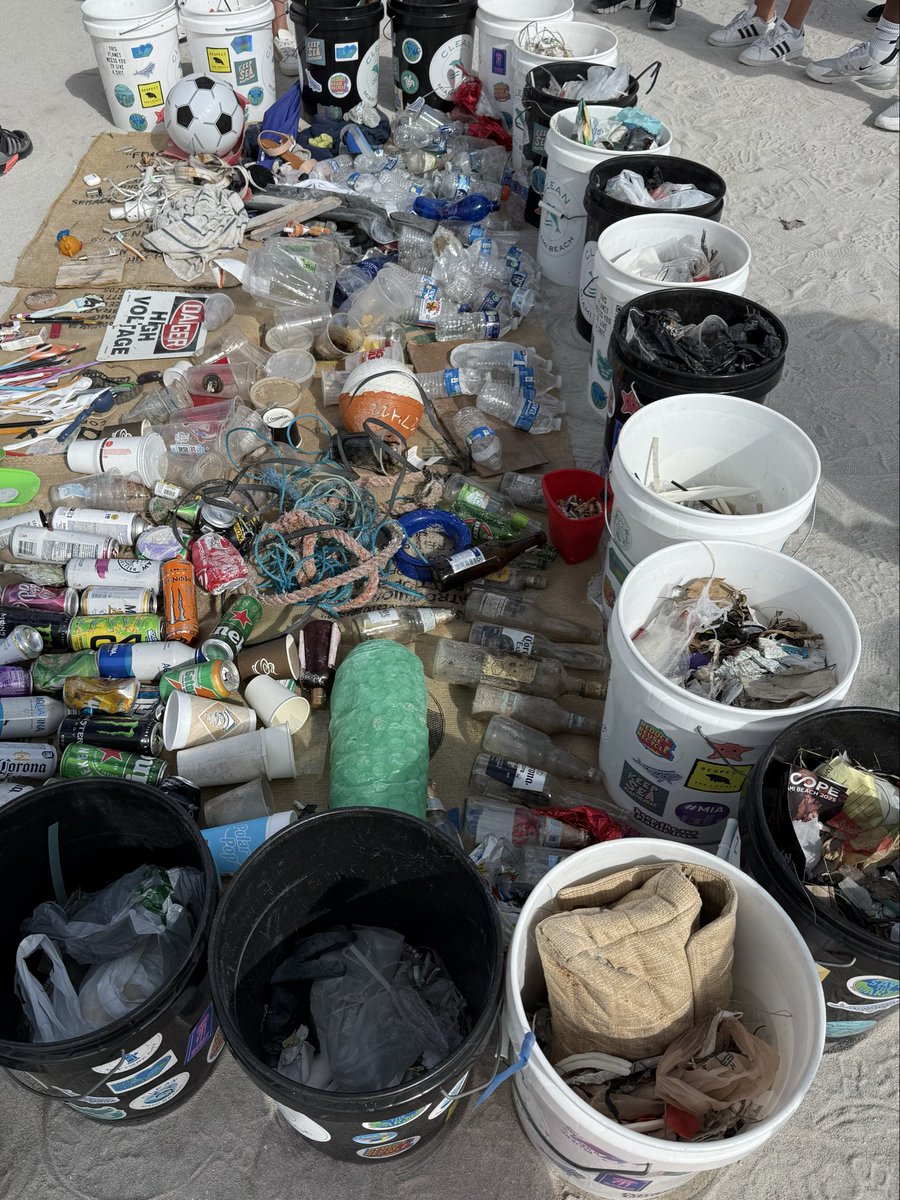 joinbeacheco's tweet image. You already know 😎 #cleanup #dogood #crypto #climateaction