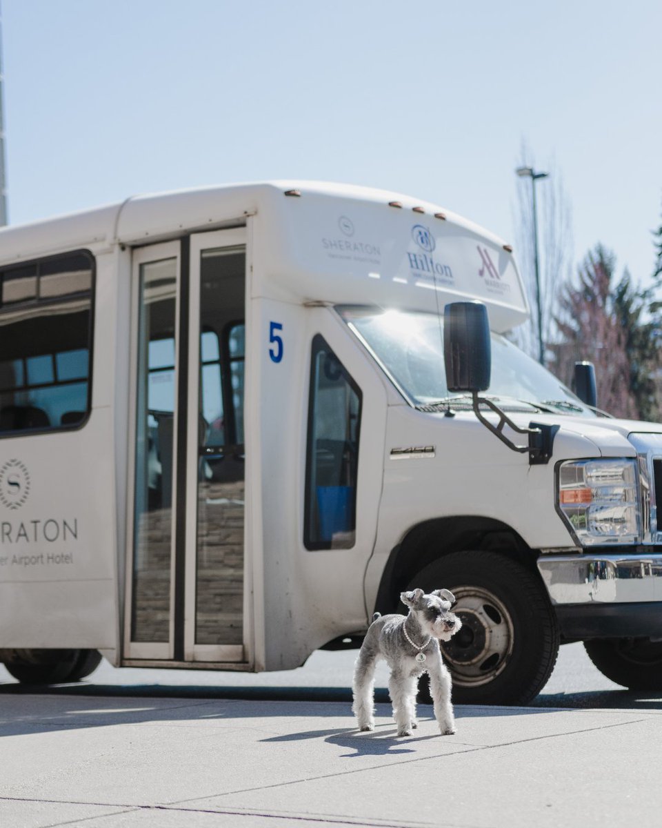 Bring your best friend along for the ride. Our 24/7 YVR shuttle has room for every member of the family. 🐾🚐