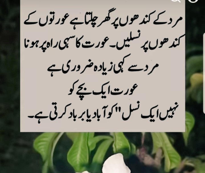 MisbahAbdali's tweet photo. نپولین نے کیا خوب کہا تھا ”تم مجھے پڑھی لکھی ماٸیں دو۔ میں تمھیں پڑھی لکھی قوم دوں گا“ https://t.co/IBf4cMYSMH