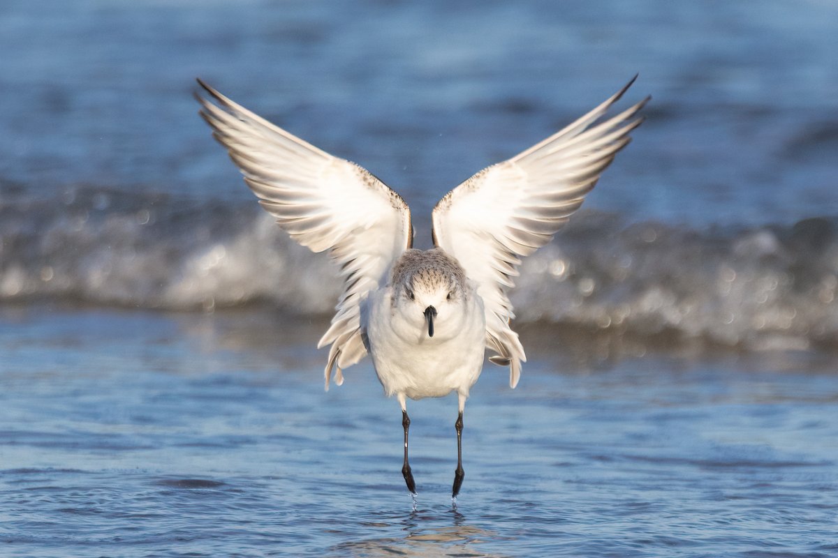 Mark Wright tweet media