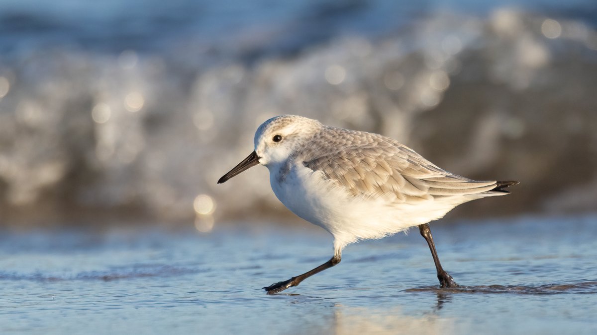 Mark Wright tweet media