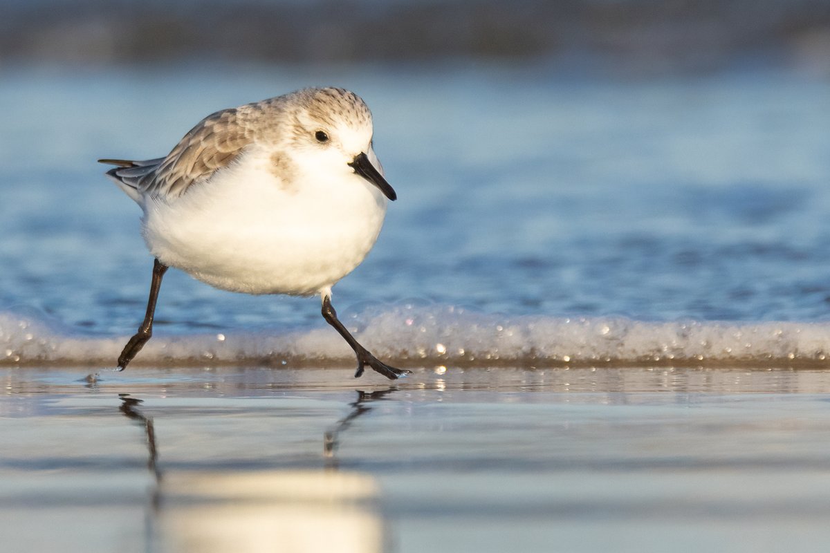 Mark Wright tweet media