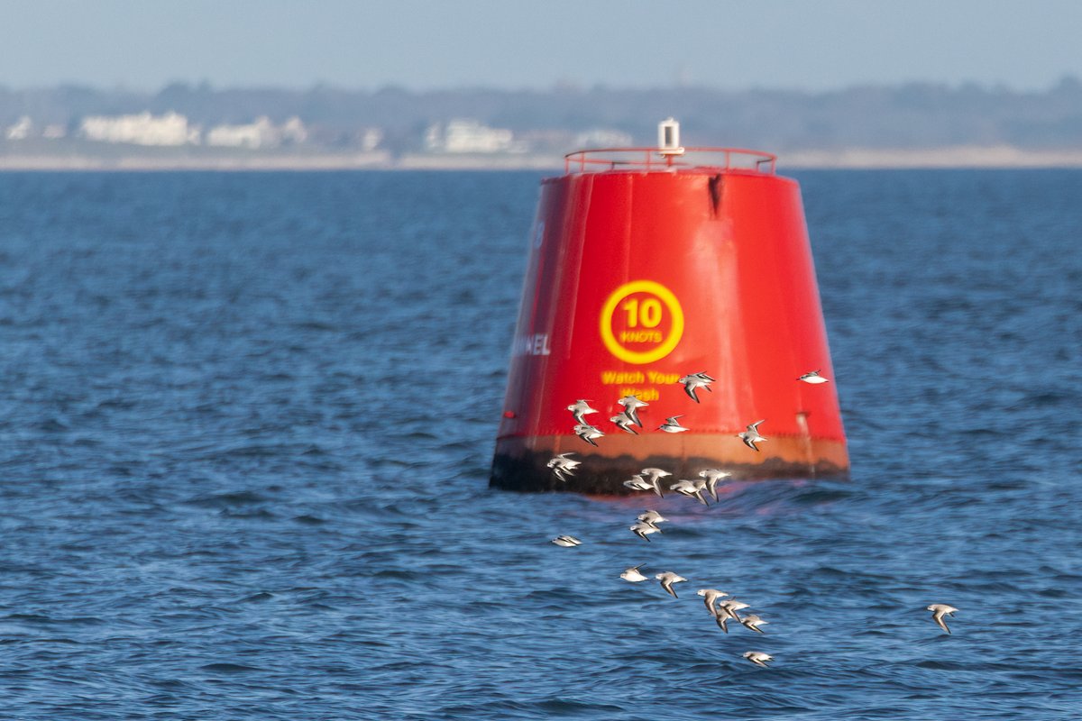 Mark Wright tweet media