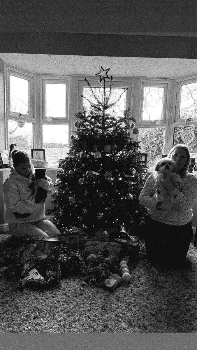 Xmas donations for the animals shelters🐾🎄🫶🏼