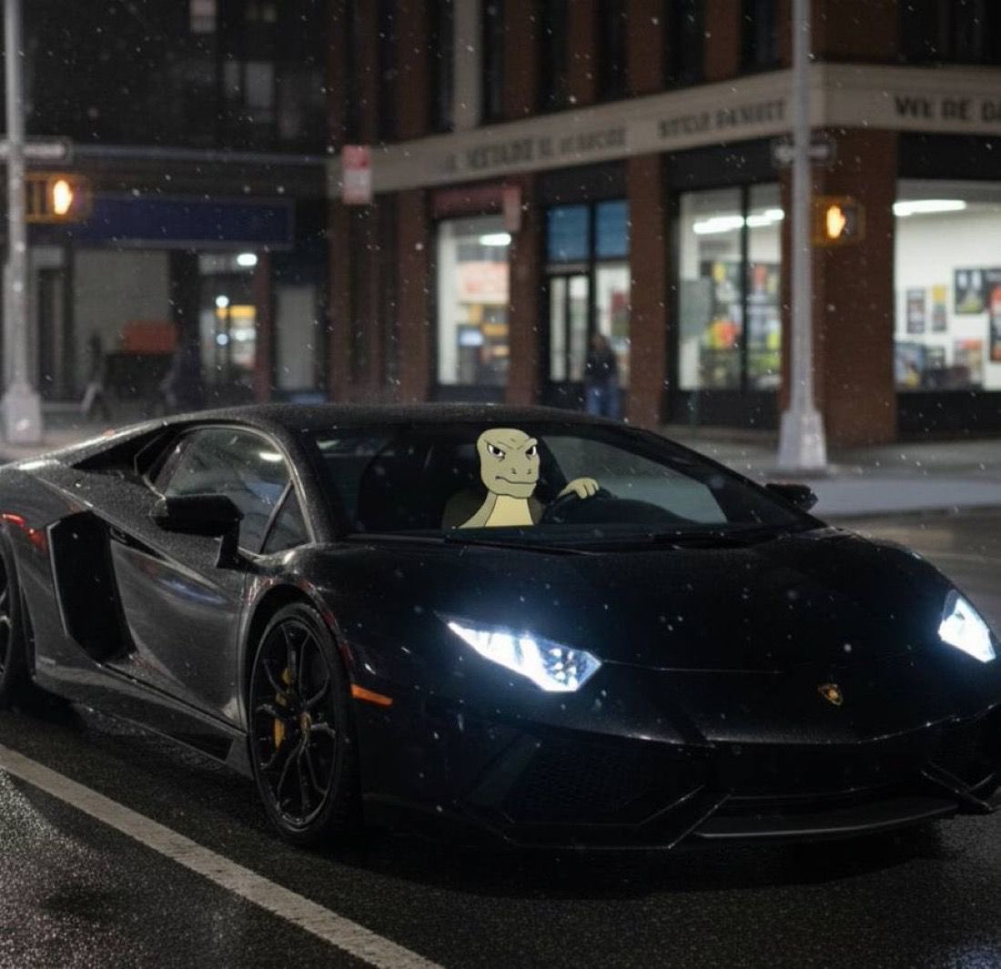 edu_avo's tweet photo. $YEE https://t.co/zg46WhFin7