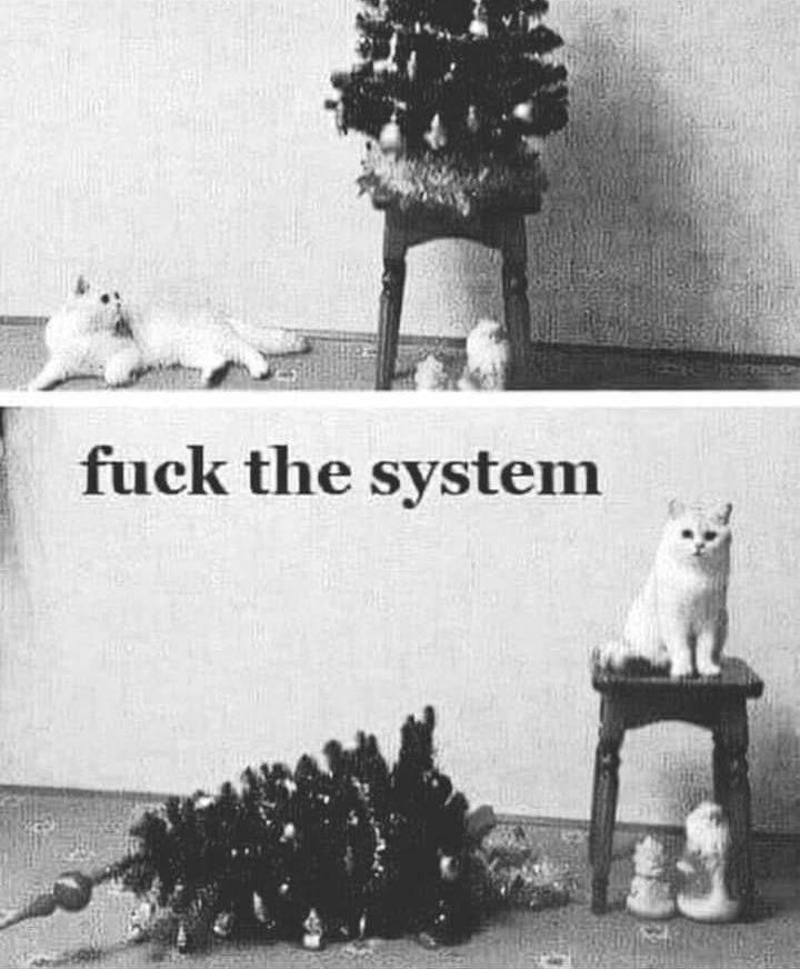 iamAtheistGirl's tweet image. 