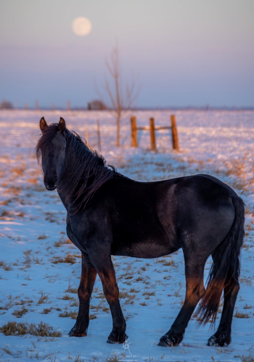 Dark Horse Supermoon 
© Aaron J. Groen
#moon #SouthDakota #photography