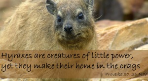 woofths's tweet image. 