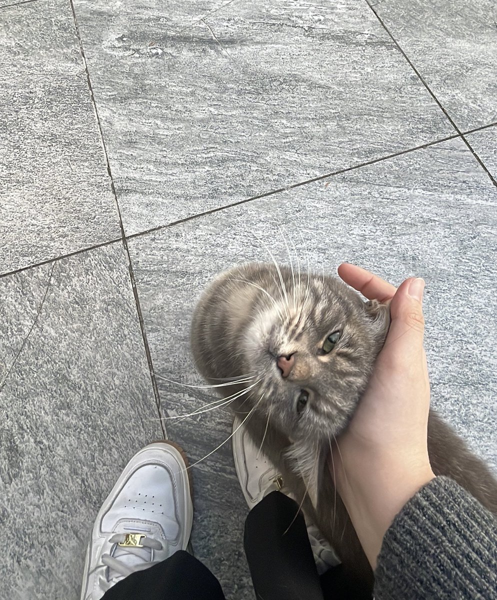 Çok tatlısın ama 🥹