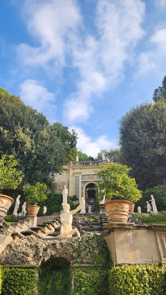 Ted Colapinto tweet media