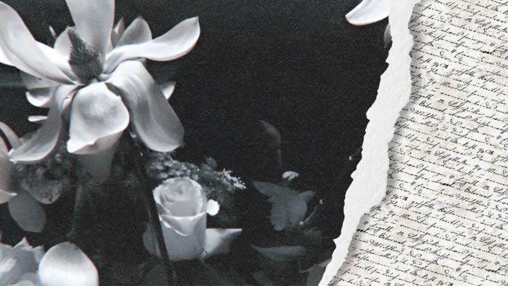 kyangelicals's tweet image. 𓂃 ❀。busco mutis  𐔌՞ ܸ.ˬ.ܸ՞𐦯

꒰  #obstwt / #obslovetwt ꒱

─ 𐙚   🇨🇱 | he

─ 𐙚 me gusta interactuar bastante y tomo confianza rapido!

─ 𐙚 cualquier fandom o subtwt

ᢉ𐭩 + ↻ =  mutis!