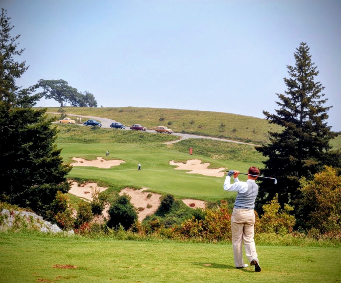 Simon Haines tweet media