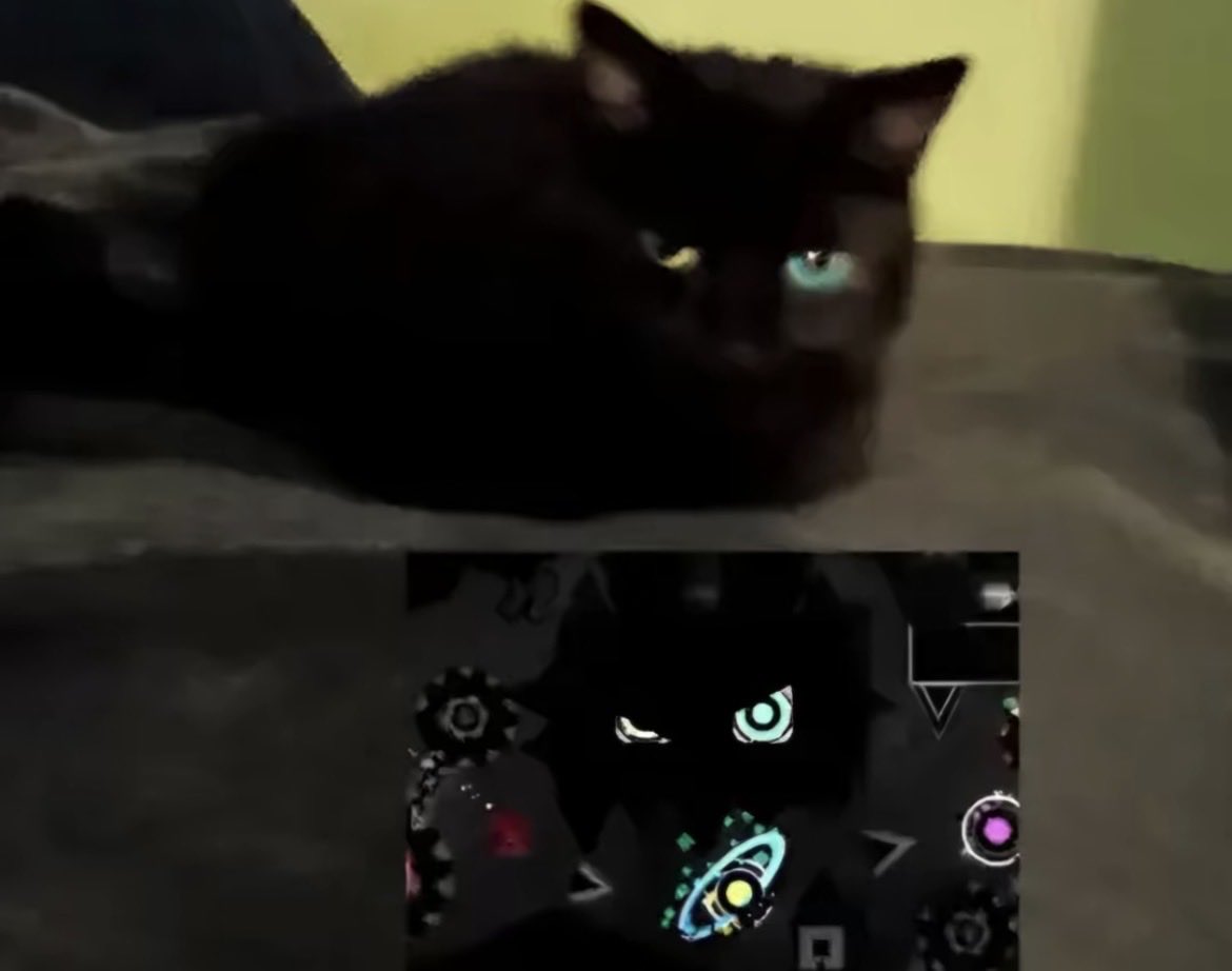 Blue Space GD (@bluespacegd) on Twitter photo 