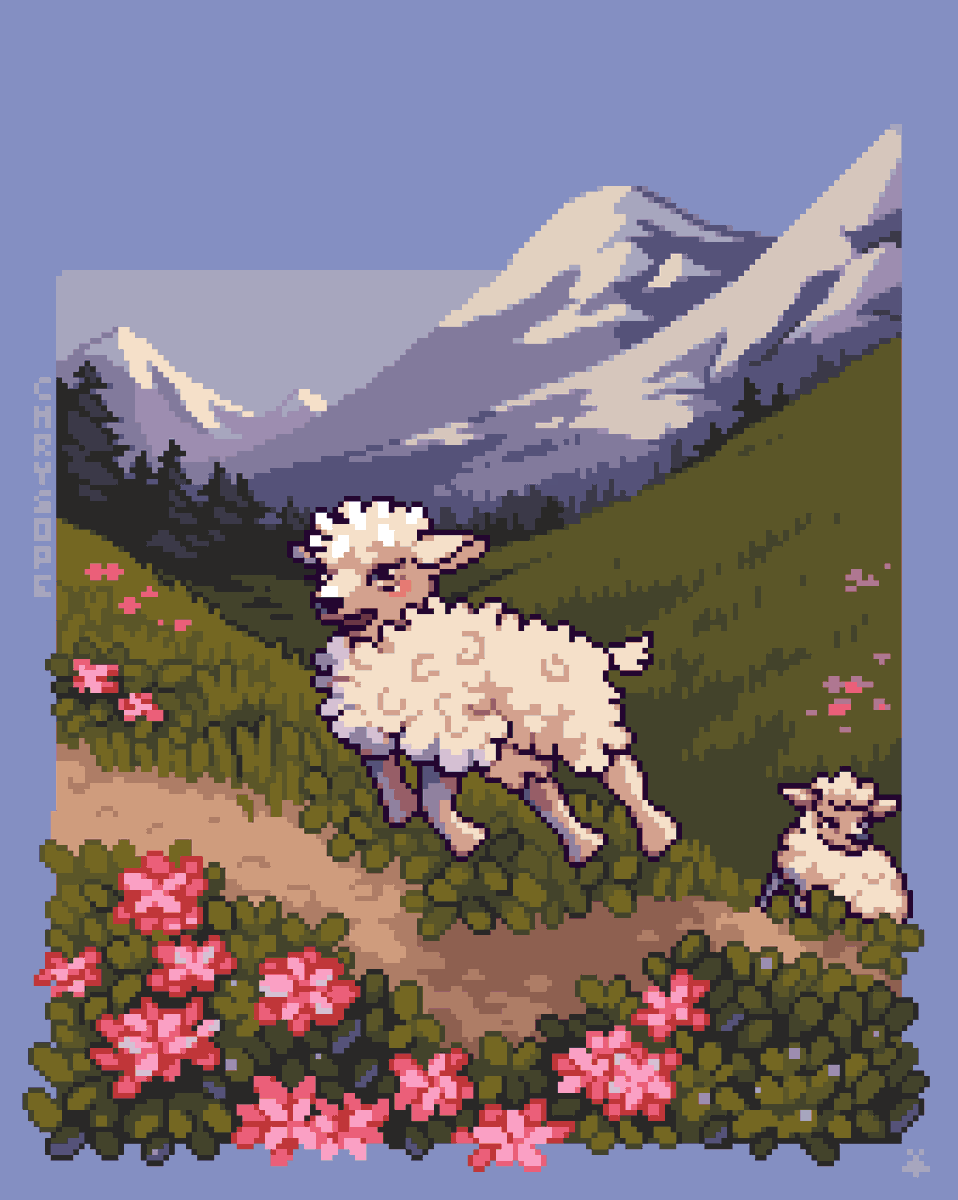 ✨Chrysope ✨ tweet media