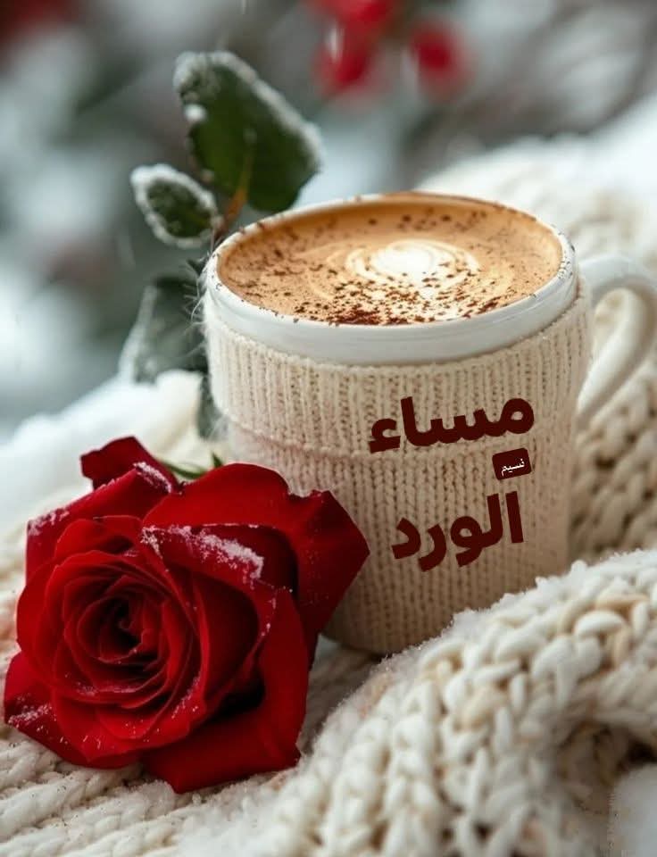 Hatem Ahmad tweet media