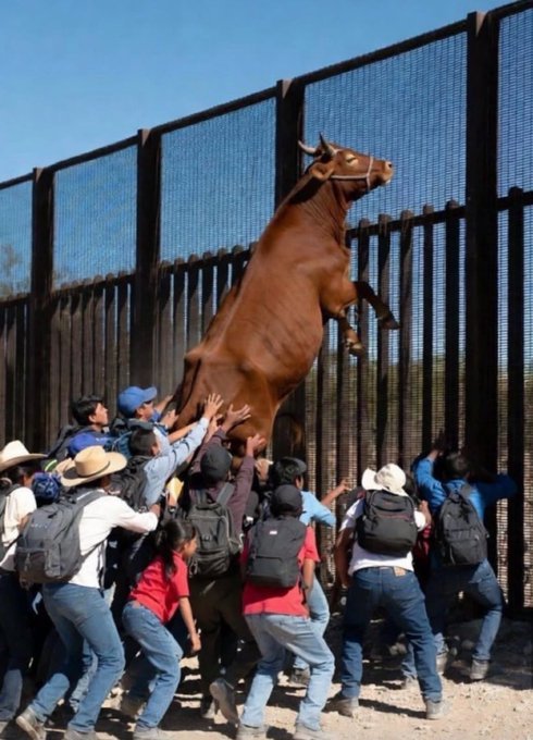 plapchuk's tweet image. I think he's right.