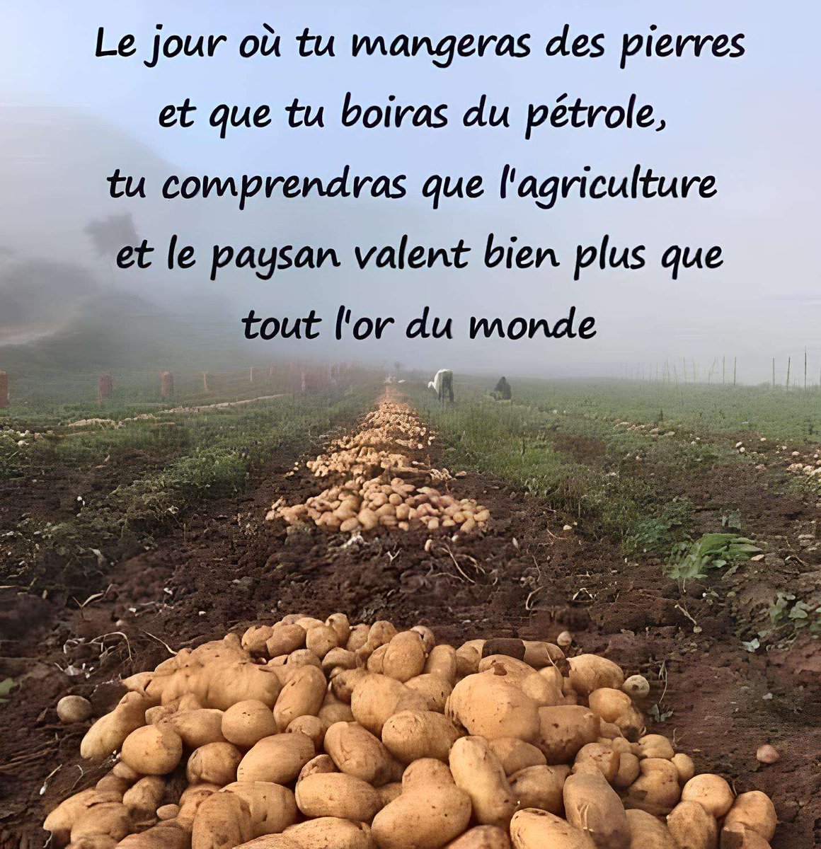 CaporalLusignan's tweet image. #SoutienAuxPaysans 🚜👨‍🌾🚜
#SoutienAgriculteurs 👨‍🌾🚜👨‍🌾
💙🤍❤️