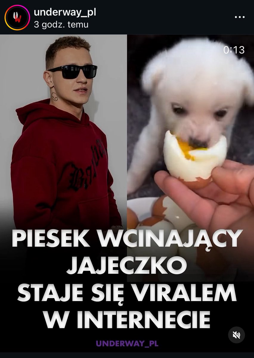 gangster spongbob tweet media