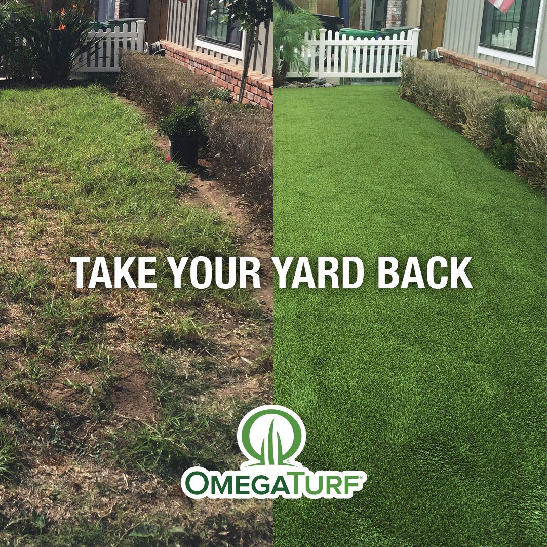 OmegaTurf tweet picture
