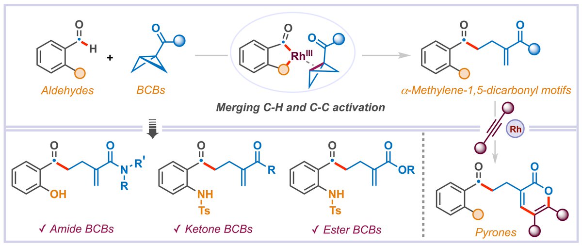 Chandra Volla tweet media