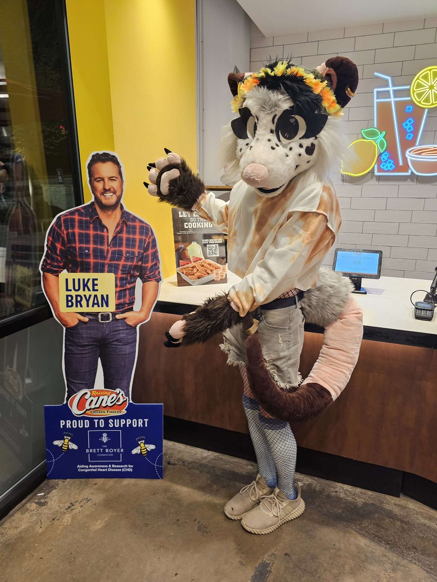 PepperOpossum's tweet photo. If I had a dime for every time I got drunk and fursuited at a @raisingcanes I’d have two dimes, which isn’t a lot but it’s funny it happened twice https://t.co/4SHOuwQrSd