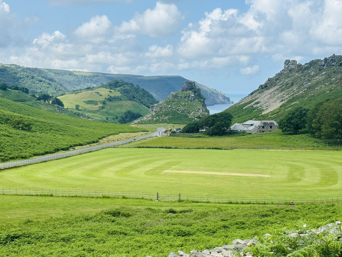 Annie Chave tweet media