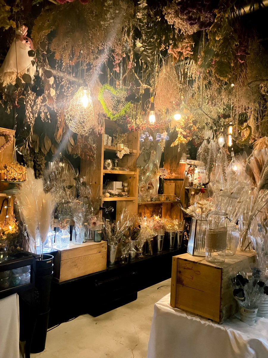 miiページ•*¨*•.¸♬︎ My 500 Miitopia Miis Part 2! (My Access Key Code: 48K37HF) : r