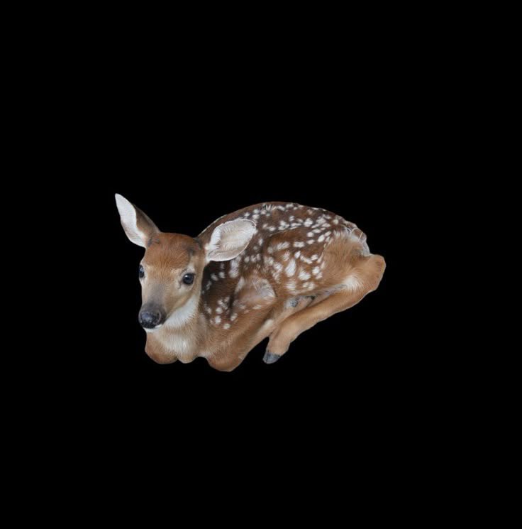 ⊱karolina⊰ tweet media