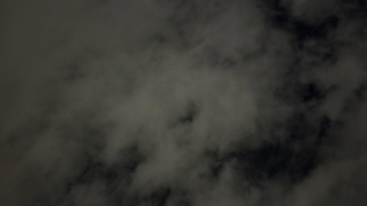 🐈‍⬛ tweet media