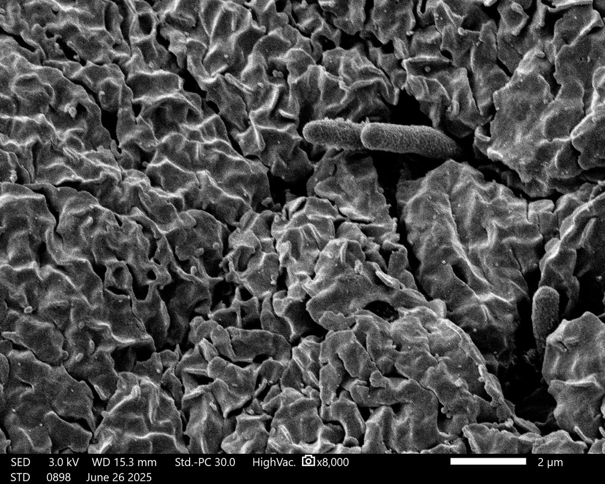 UTI Global Alliance tweet media