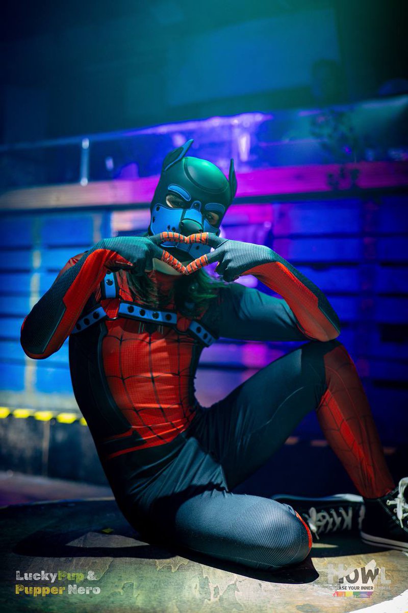 wait ur telling me it’s not spideyseason anymore…?🤨🤨

📸 - <a href="/PupperNero/">Nero ✨🐶</a> <a href="/lucky_p42148/">Lucky Pup</a> 
📍- <a href="/Howl_Newcastle/">Howl 2.0</a>