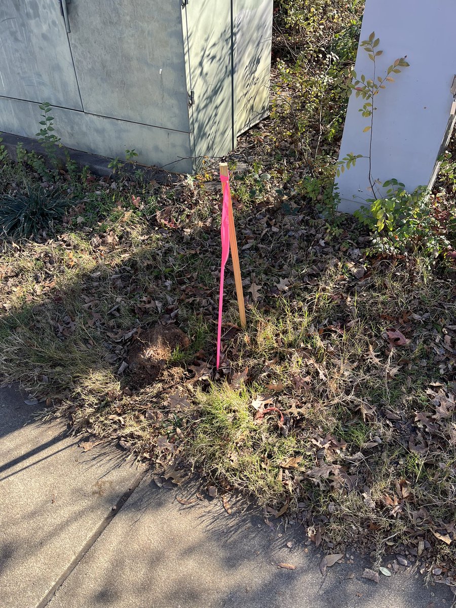 Jason Richards tweet media