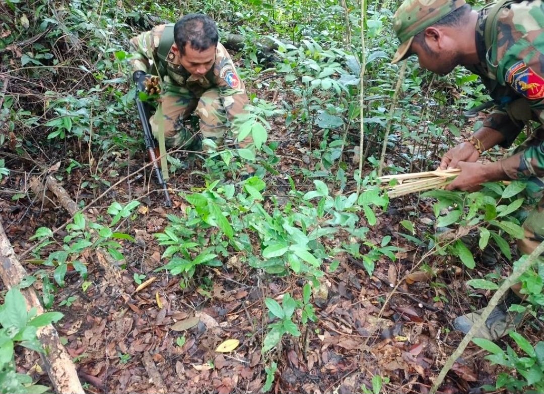 thechonkygod's tweet photo. @un_cha_un Ya right! Planting landmines on Thai soil is NO accident. 

#ไทยกัมพูชา https://t.co/7VqzWHtJk7