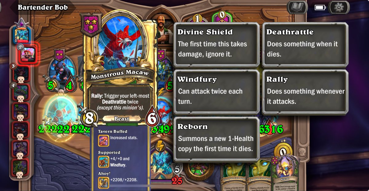 5 golden Macaw! Funny Highroll