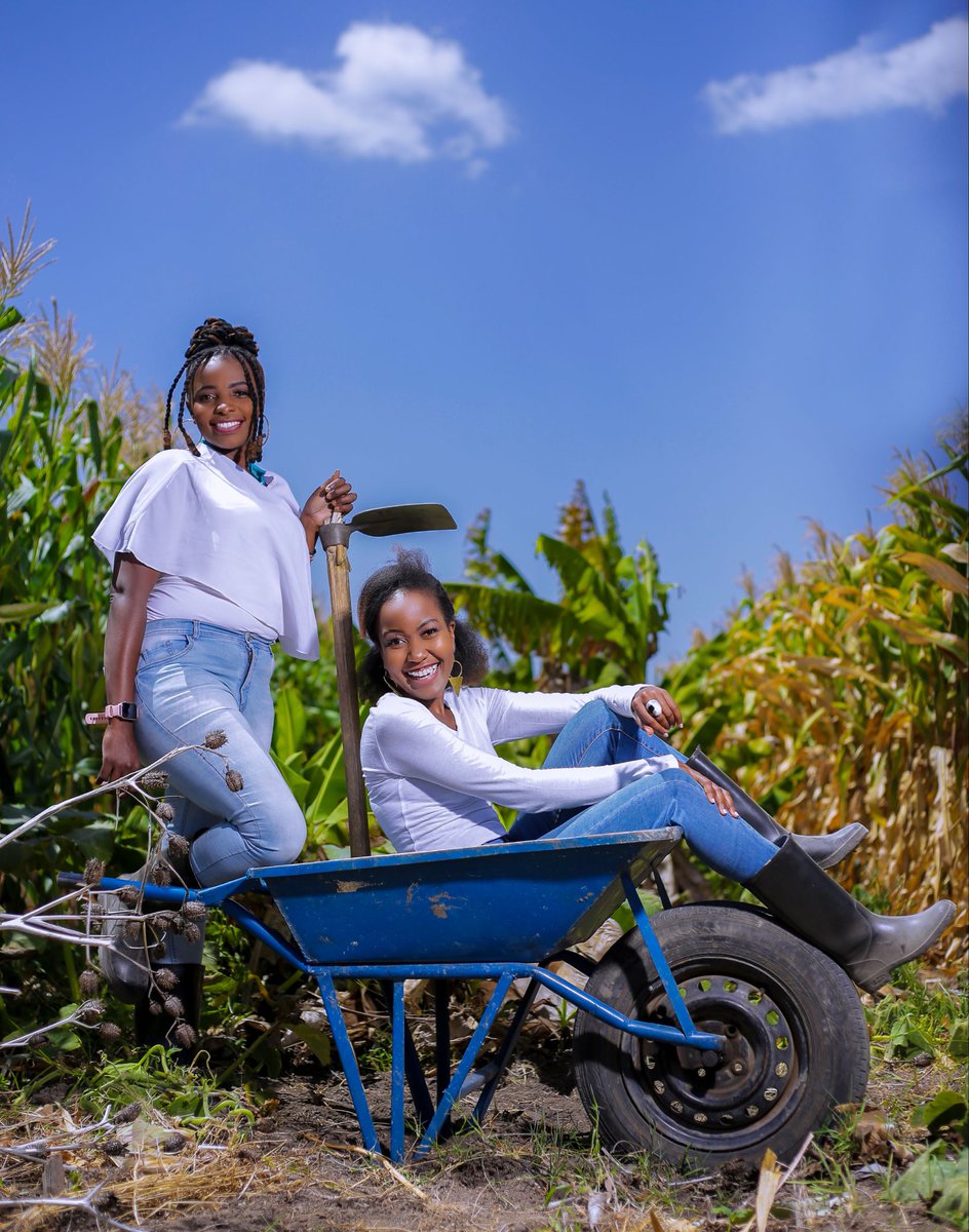 AmandaNamayi's tweet image. From the #farms in Kenya (left) to the @FAO Headquarters in Italy (right), navigating the #foodsystems space can be daunting if you don’t know head from tail.

Being part of a community not only broadens your horizon but also equips you with both soft and hard skills required to
