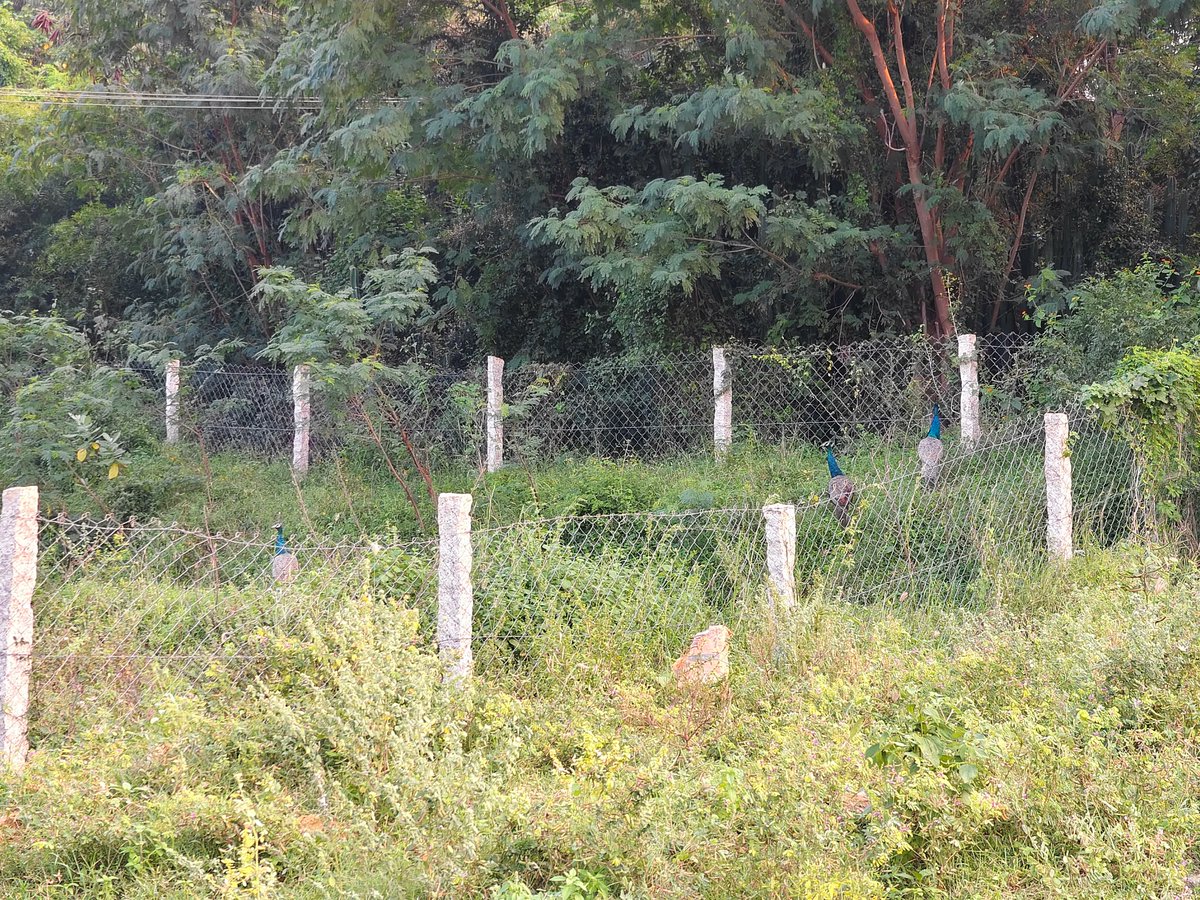 DefiMaran⚡ tweet media