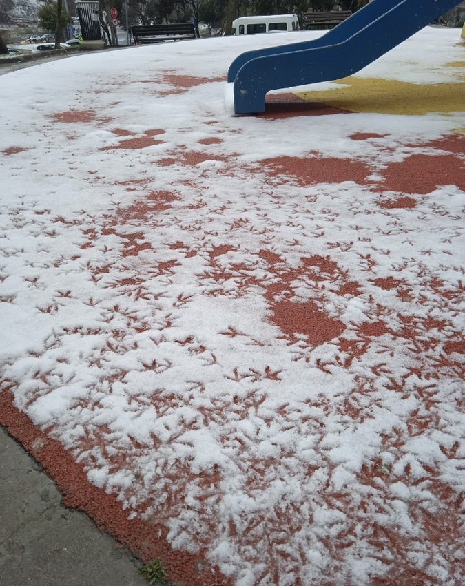 Sanırım bir kuş burada telefonla konuşmuş