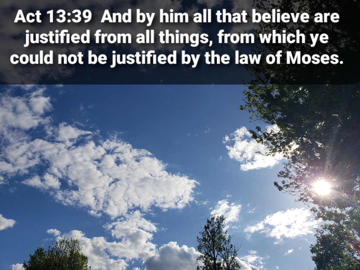 1division's tweet image. 