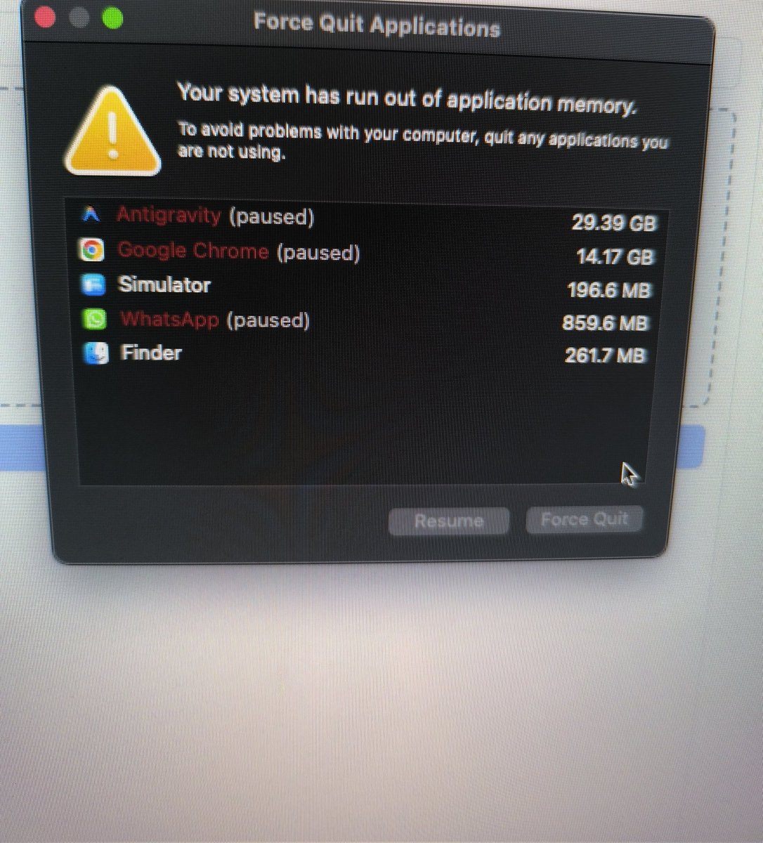 NotThatGuy tweet media