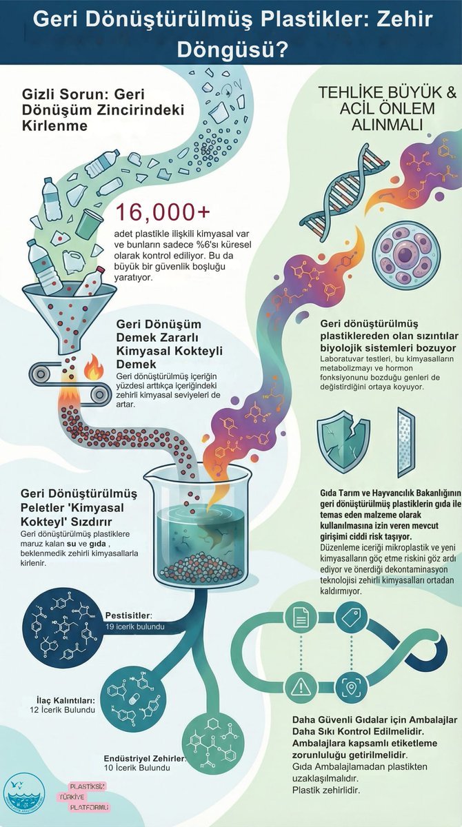 Geri Dönüştürülmüş Plastikler: Zehir Döngüsü