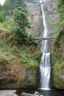 wdunlap's tweet image. The beautiful Columbia River Gorge is a mile-wide river valley lined with wonderful waterfalls and hiking trails.
Click on this link to see our trip:
unhooknow.blogspot.com/search/label/U…
#Travel #Falls #Oregon