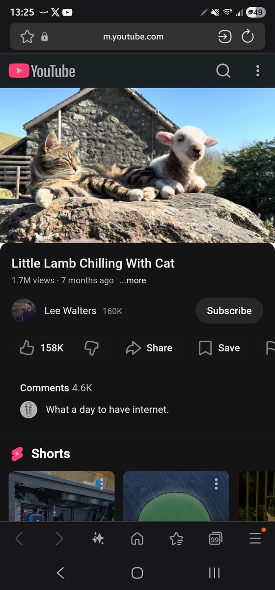 Tab 🐳 tweet media