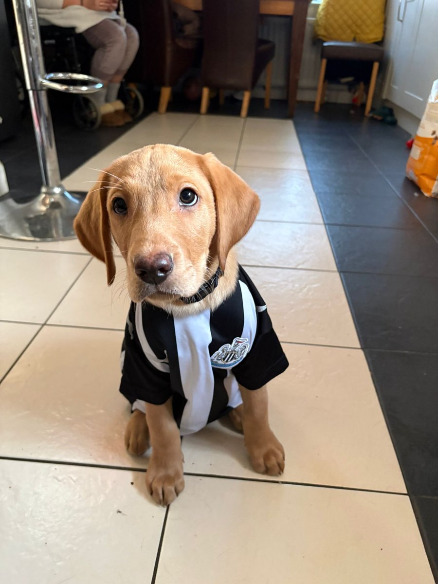 Emma Blemings💙🎓🇺🇦 tweet media