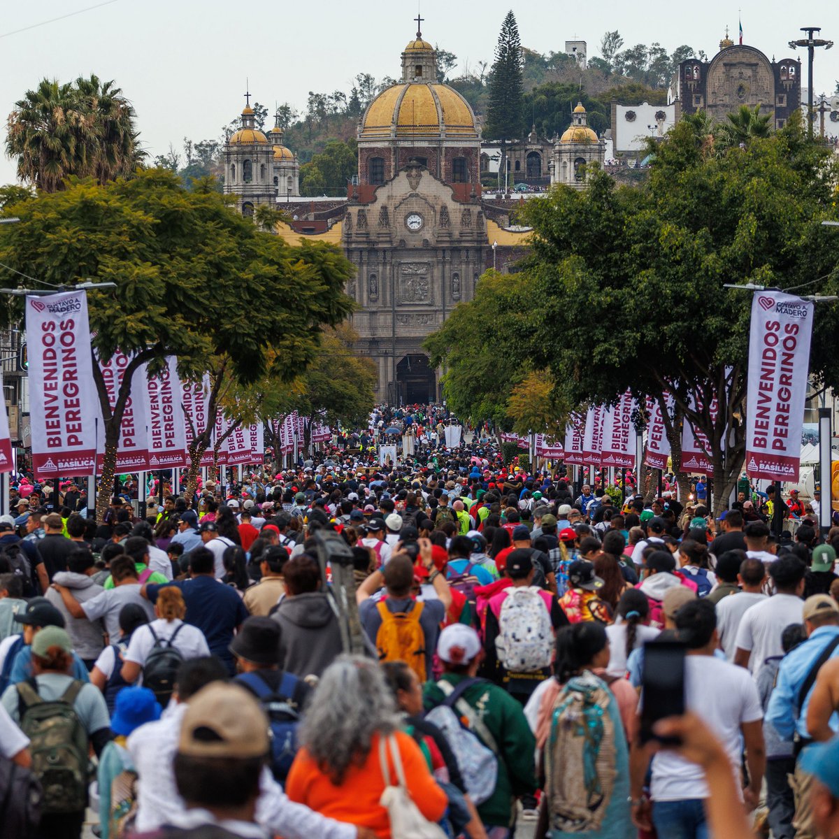 doncaiman's tweet photo. Celebración de la Virgen de Guadalupe. Basílica de Guadalupe, Ciudad de México. https://t.co/8IQligXkx6