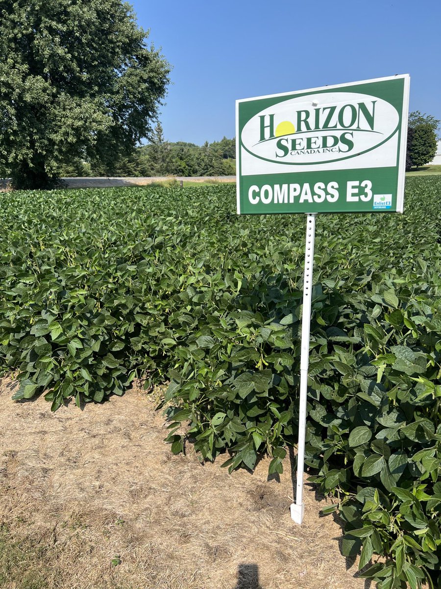 HORIZON_SEEDS's tweet photo. On the second day of Christmas, Horizon Seeds gave to us, two field signs 🎵 🌽
#canadiangrowncanadianowned #horizonseeds #ourfarm #dealernetwork #12daysofchristmas https://t.co/L6Qr7ya4mK