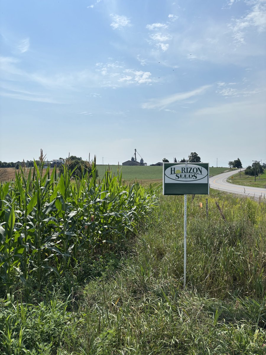 HORIZON_SEEDS's tweet photo. On the second day of Christmas, Horizon Seeds gave to us, two field signs 🎵 🌽
#canadiangrowncanadianowned #horizonseeds #ourfarm #dealernetwork #12daysofchristmas https://t.co/L6Qr7ya4mK