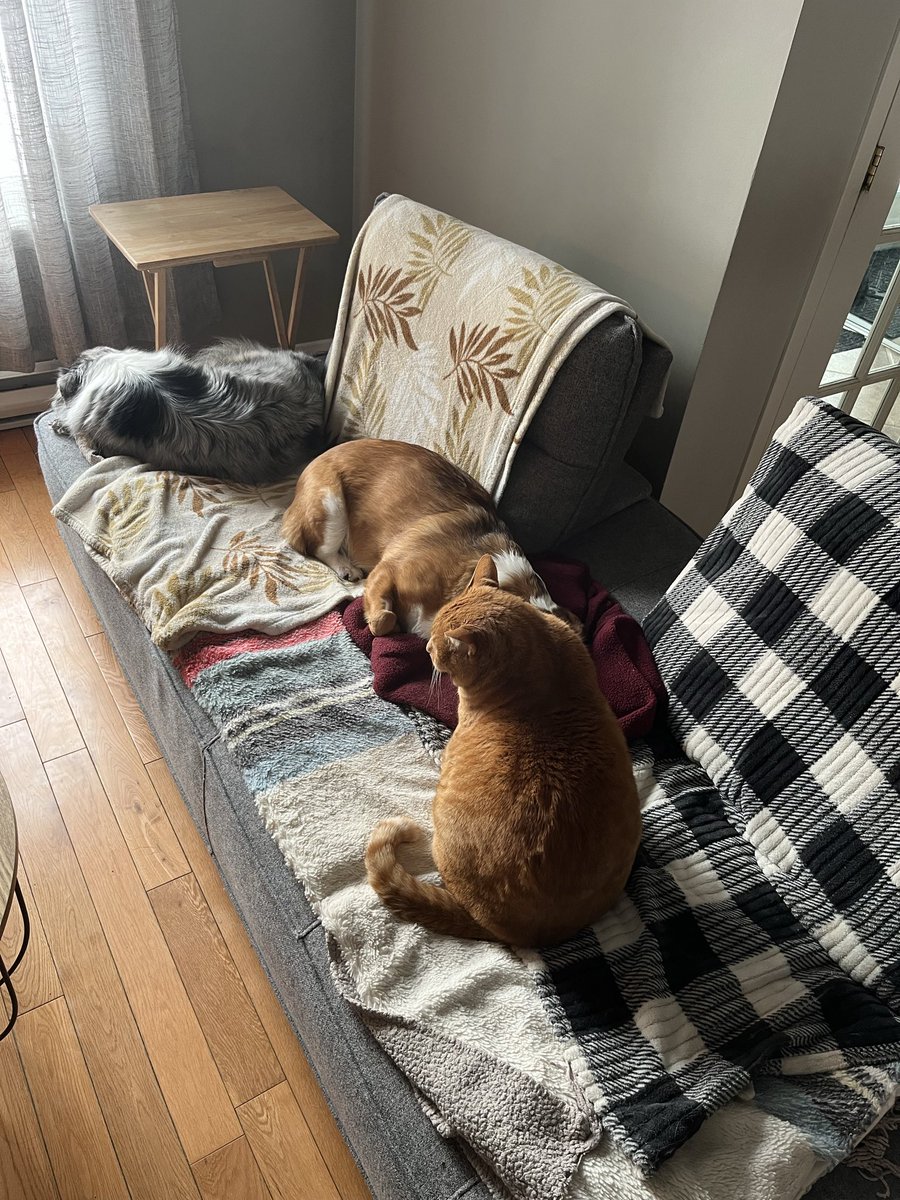 Bon je vais m’asseoir ailleurs:)