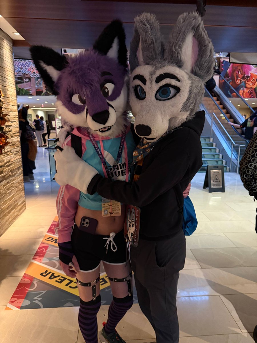 CaylenTheFox's tweet photo. Had a great time hanging out more this year with @DaytonaHusky at MFF! 💜 https://t.co/yJe1ZB9oIn